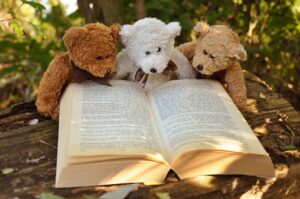 teddy bear, teddy, bear, nature, stuffed animal, animal, stuffed, toy, cuddly toy, furry, soft, plush, adorable, childhood, book, three teddy bears reading a book, brown book, brown books, brown animals, brown reading